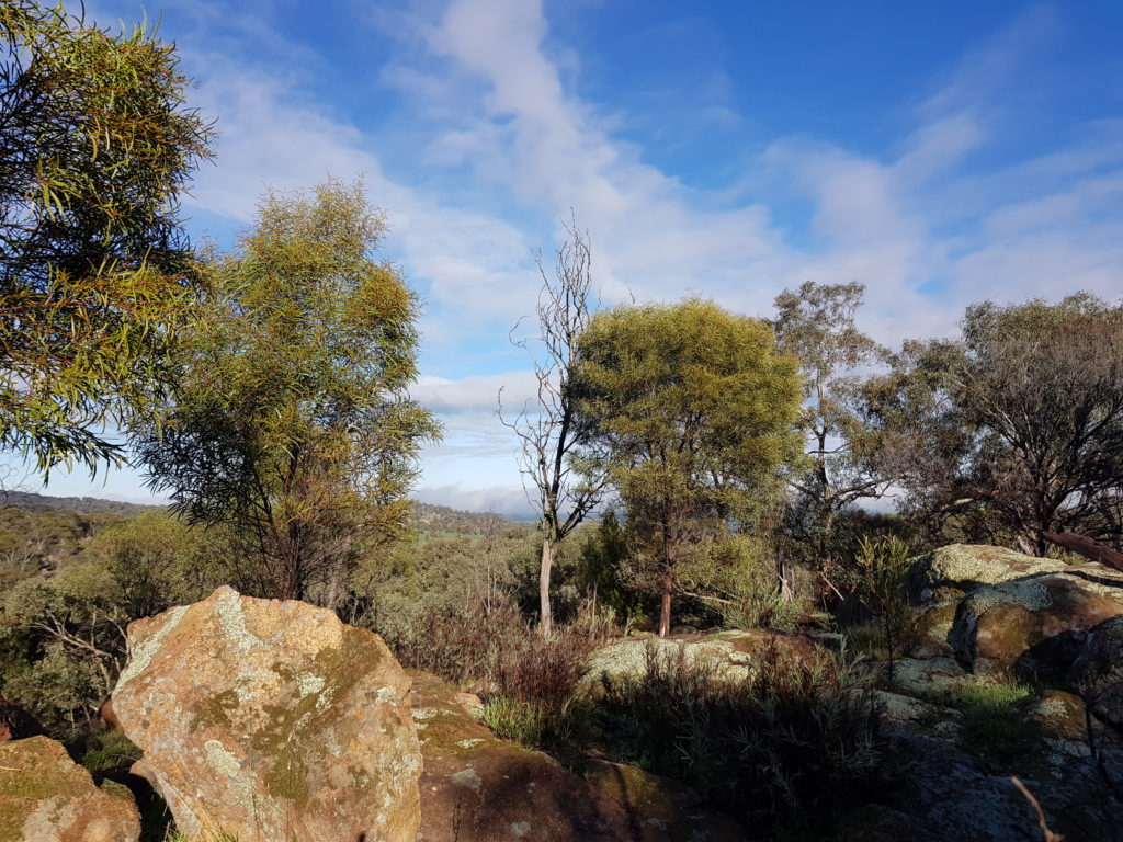Granite hills around Eldorado in north east. Victoria
