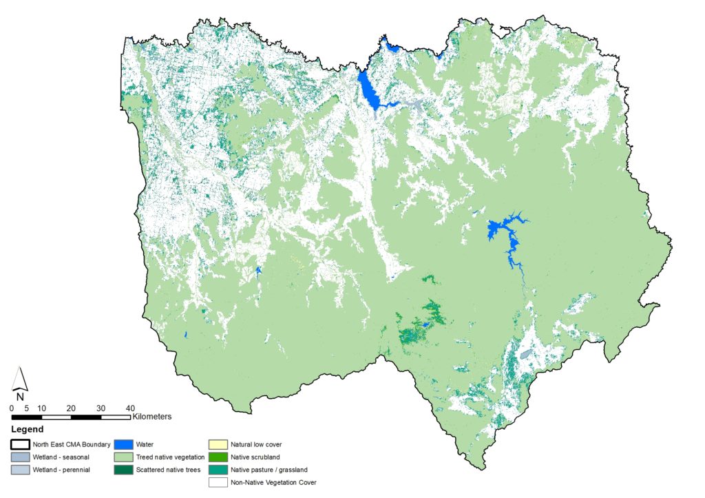 Extent of land cover of native vegetation classes is mostly treed native vegetation. Most non native vegetation is found in northern parts of the region.