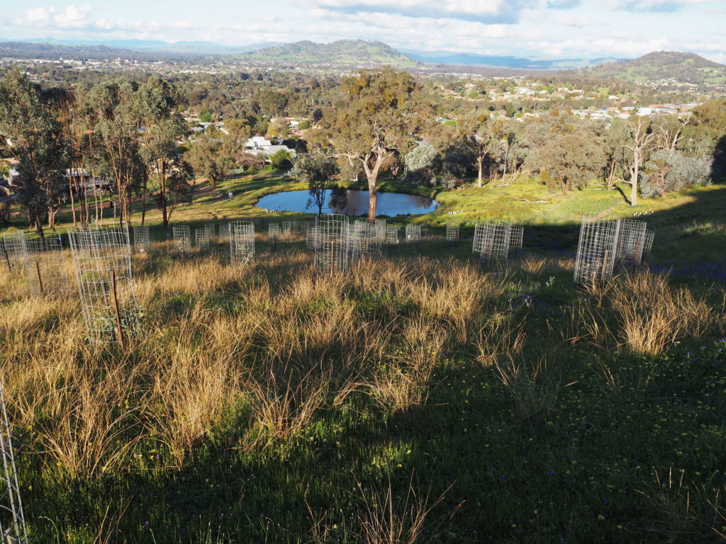 I can visit anytime, and there’s lots of wildlife and great views. It’s quiet.” – Elisa about Federation Hill Wodonga